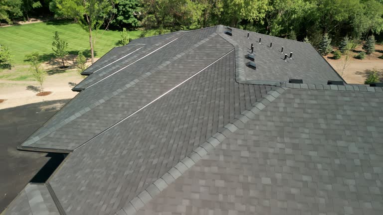 Best Roof Moss and Algae Removal  in Starbuck, MN