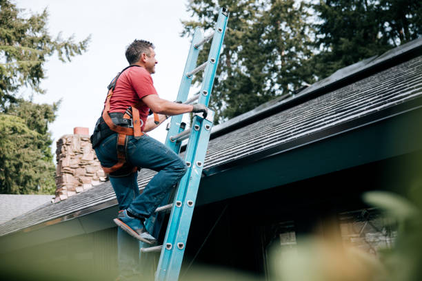 Roof Moss and Algae Removal in Starbuck, MN